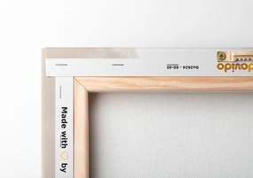 Quadro su tela – Natura morta artistica