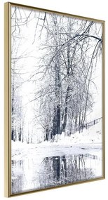 Poster  Snowy Park  Cornice Quadri Cornice d'oro, Larghezza x Altezza Home decor 20x30