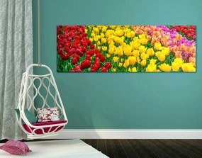 Stampa su tela – Giardino pieno di tulipani