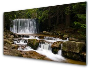 Quadro acrilico Cascata della natura della foresta 100x50 cm