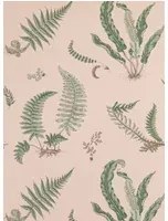 GP & J Baker Carta da parati Ferns - Blush