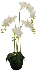 Pianta artificiale senza vaso Orchidea in Real Touch H 104