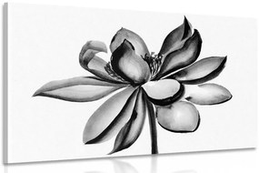 Quadro su tela – Fiore di loto acquerellato in bianco e nero