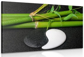 Stampa su tela – Pietre a forma di Jin e Jang
