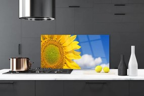 Pannello paraschizzi cucina Nuvole del cielo del girasole 100x50 cm