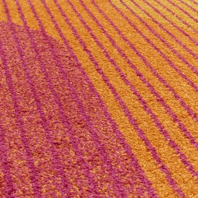 Tappeto giallo/arancione 200x290 cm Muse Orange Retro – Asiatic Carpets