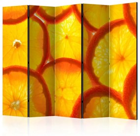 Paravento Orange slices II [Room Dividers]