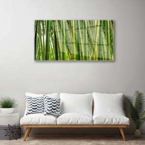 Quadro acrilico Foresta di bambù Germogli di bambù 100x50 cm