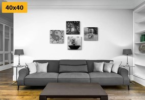 Set di quadri – In stile Feng Shui in bianco e nero