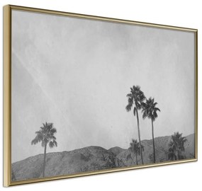 Poster  Sky of California  Cornice Quadri Cornice d'oro, Larghezza x Altezza Home decor 30x20