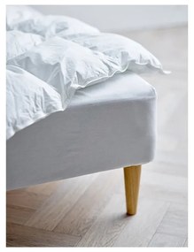 Lenzuolo elasticizzato bianco in cotone biologico 90x200 cm Calm - Södahl