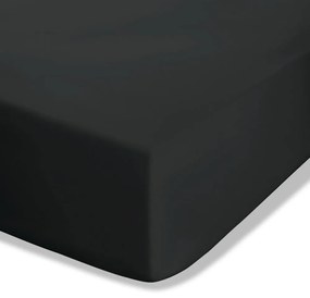 Lenzuolo con angoli nero in percalle 90x190 cm Easy Iron Percale – Catherine Lansfield