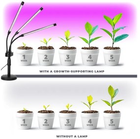 Brilagi - LED Lampada dimmerabile per la coltivazione di piante VITABLOOM 3xLED/10W/230V