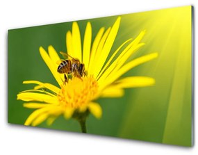 Quadro acrilico Natura del fiore dell'ape 100x50 cm