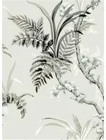 Coordonne Carta da parati Wild Ferns - Steel
