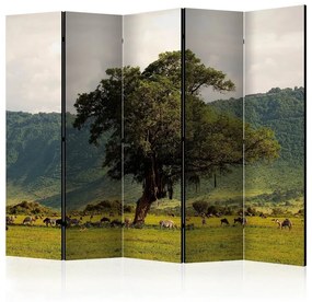 Paravento  In a crater of Ngoro ngoro II [Room Dividers]  Colore ---, Dimensioni e Misure 225x172