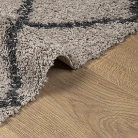 Tappeto Shaggy Pelo Lungo Moderno Beige e Antracite 300x400 cm