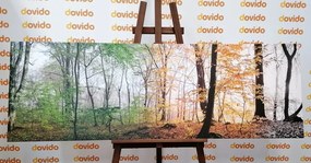 Stampa su tela – Quattro stagioni