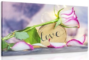 Stampa su tela – Dichiarazione romantica Love