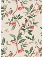 Harlequin Carta da parati Ella - Powder/ Sage/ Peach