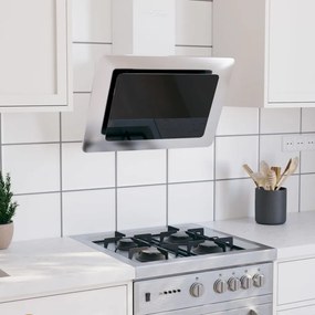 Cappa A Parete 60 Cm İn Acciaio Inox E Vetro Temperato Argento /
