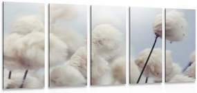 Quadri 5 pezzi – Fiori di cotone artico