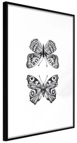 Poster  Butterfly Collection I  Cornice Quadri Cornice nera, Larghezza x Altezza Home decor 20x30