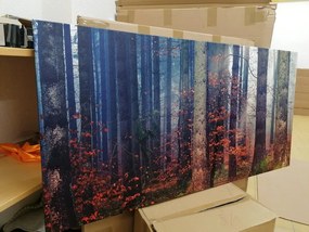 Quadro su tela – Mistero della foresta