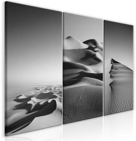 Quadro  Desert Landscape (Collection)  Colore bianco e nero, Dimensioni e Misure 120x60