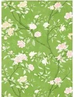 Zoffany Tapete Nostell Priory - Evergreen