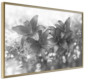 Poster  Dark Lillies  Cornice Quadri Cornice d'oro, Larghezza x Altezza Home decor 45x30