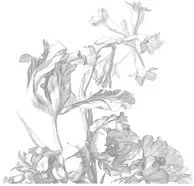 KEK Amsterdam Carta da parati panoramica Engraved Flowers 6 - L
