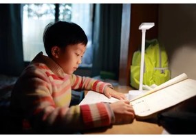 Ledvance - Lampada da tavolo LED dimmerabile con funzione Touch PANAN LED/5,2W/5V 1200mAh