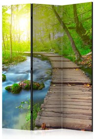 Paravento Foresta verde - Ponte di legno con sole nella foresta