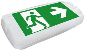 Fulgur 26201 - Luce di emergenza a LED SAFEBOY LED/6W/230V IP65 6500K