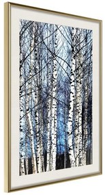 Poster  Winter Birch Trees  Cornice Quadri Cornice d'oro con passe-partout, Larghezza x Altezza Home decor 40x60