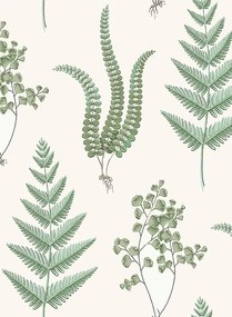 BoråsTapeter Carta da parati Herba - 7657