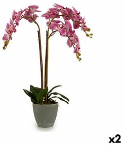 Pianta Decorativa Orchidea Plastica 33 x 77 x 33 cm (2 Unità)