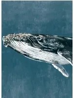 Coordonne Wandbild Humpback Whale - Vintage