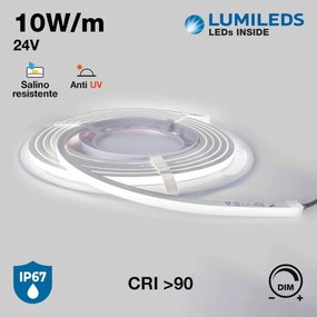 Neon Flex LED 12x12 10W/m 5m 24Vdc IP67 CRI 90 B. Freddo - chip Lumileds Colore Bianco Freddo 5.000K