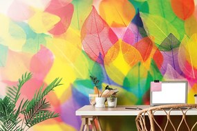 Carta da parati – Foglie in Colori Autunnali