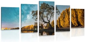 Quadri 5 pezzi – Albero sotto il cielo stellato