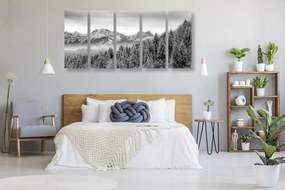 Quadri 5 pezzi – Montagne congelate in bianco e nero