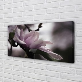 Quadro su tela Magnolia 100x50 cm