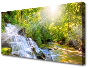 Quadro stampa su tela Cascata della foresta naturale 100x50 cm