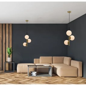 Lampadario a sospensione con filo DUO 3xE14/40W/230V oro/nero