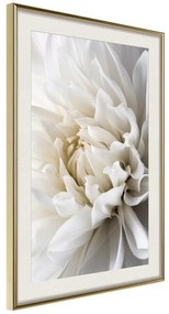 Poster  Peace of Mind  Cornice Quadri Cornice d'oro con passe-partout, Larghezza x Altezza Home decor 20x30