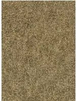 Zoffany Carta da parati Shagreen - Gold