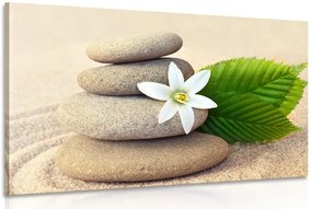 Quadro su tela – Fiore bianco e pietre nella sabbia