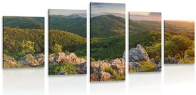 Quadri 5 pezzi – Natura baciata dal sole